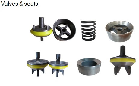 valves & seats